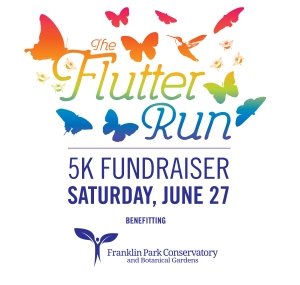The Flutter Run Logo