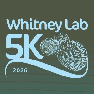 Whitney Lab 5K Logo