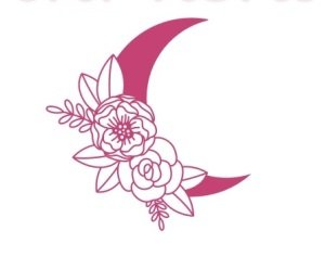 Wolverines Walk for Reproductive Justice 5k