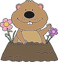 Mooreville Groundhog 5k  "Chase your Shadow"  Fun Run #6