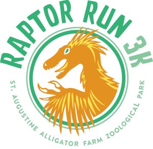 RAPTOR RUN 3K