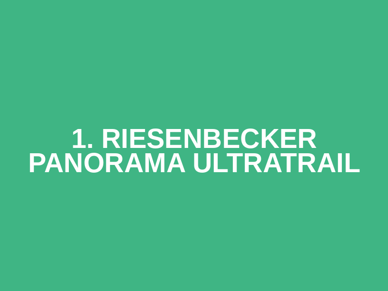 1. Riesenbecker Panorama UltraTrail Logo