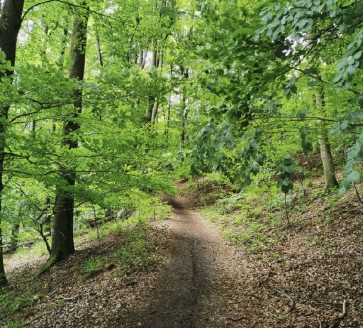 1. Schmugglertrail Ultramarathon Logo
