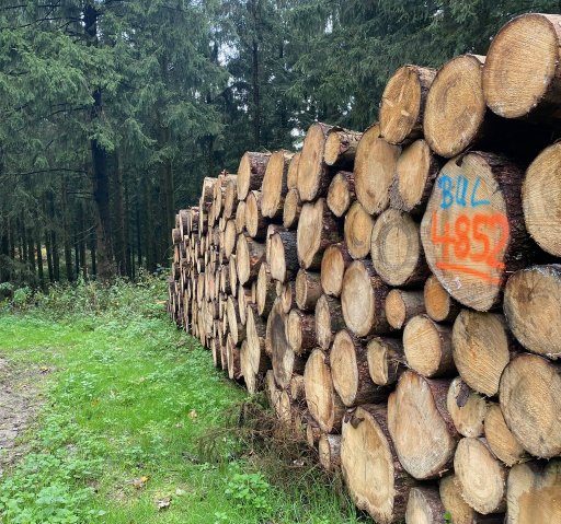1. Ultramarathon auf Teutomarsch2026-Route