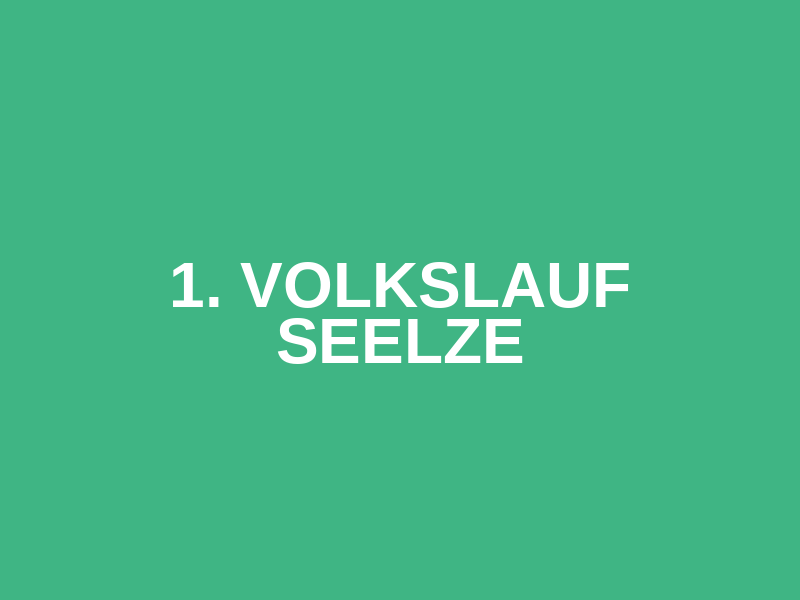 1. Volkslauf Seelze