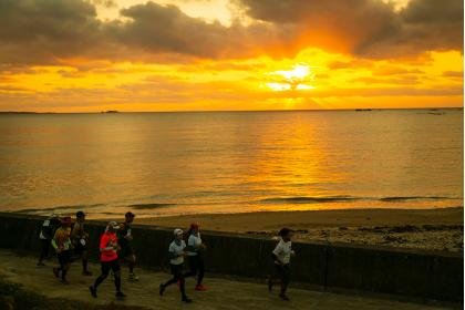 Okinawa 100K Ultra Marathon by TATTA (50km) (沖縄100Kウルトラマラソン by TATTA【50km】) Logo