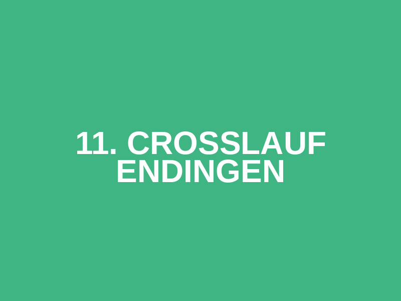 11. Crosslauf Endingen