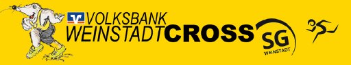 11. Volksbank WeinstadtCross Logo