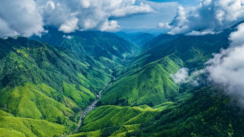 11th Grand Wuyi Trail Race