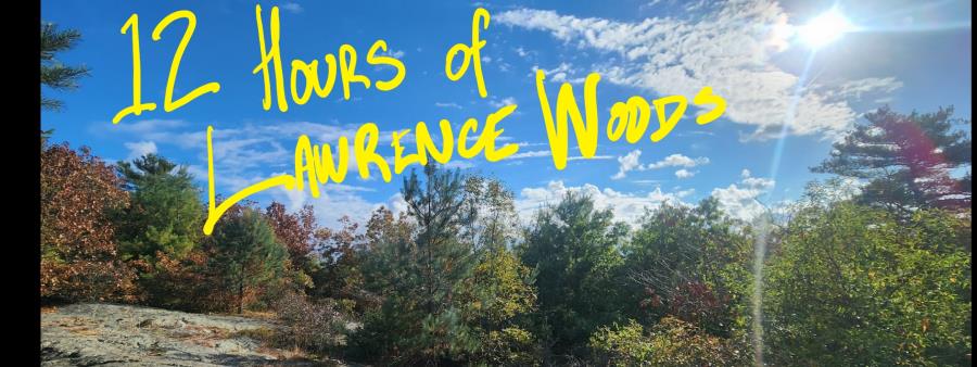 12 Hours of Lawrence Woods