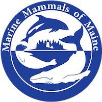 12th Annual Ocean Commotion 5K Run/Walk and 5K Virtual Challenge Logo