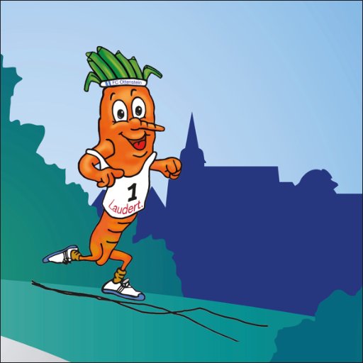 13. Ottensteiner Wottellauf Logo
