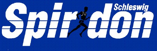 13. Schleswiger Treppenlauf Logo