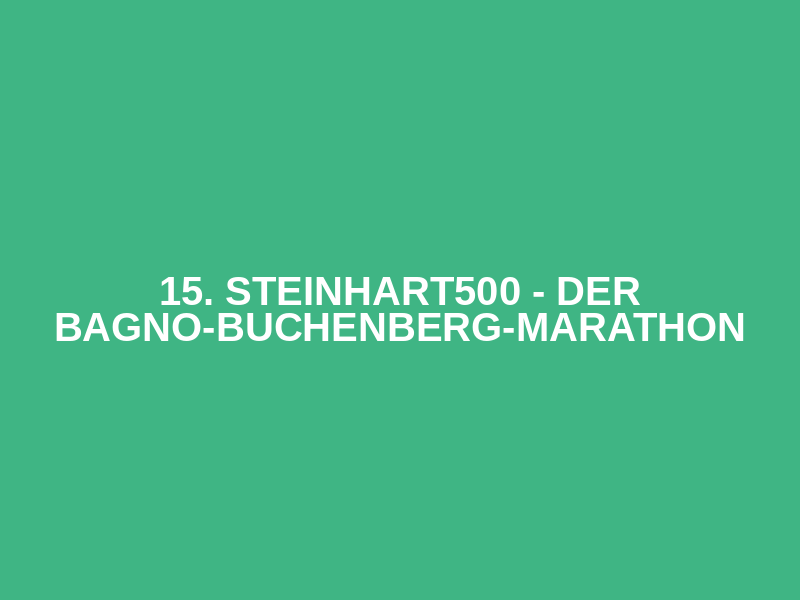 15. Steinhart500 - Der Bagno-Buchenberg-Marathon Logo