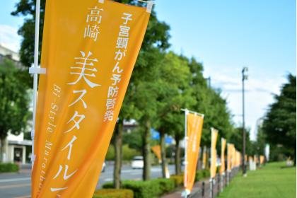 15th Cervical Cancer Prevention Awareness 'Takasaki Bi-Style Marathon 2026' (第15回子宮頸がん予防啓発『高崎美スタイルマラソン2026』)