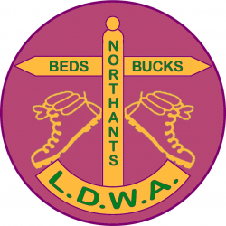 15th Steppingley Step Logo