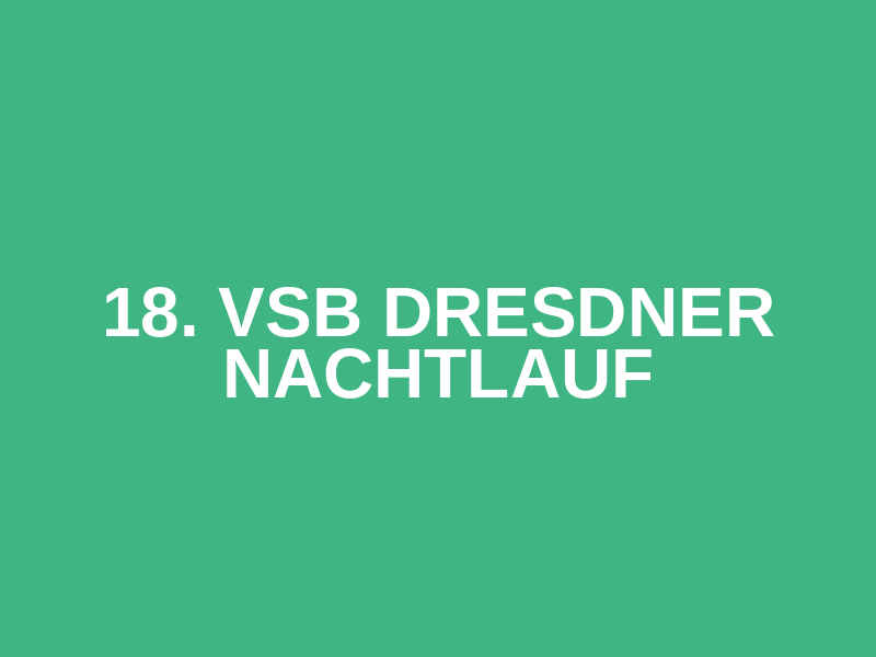 18. VSB Dresdner Nachtlauf Logo