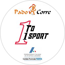 1to1 Sport Race Logo