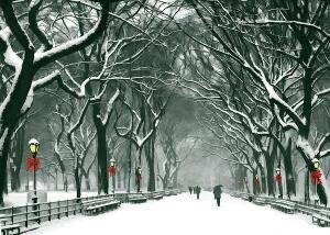 2025 NYC Holiday Classic produced by Mile Square Consulting