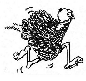 Running of the Turkeys Logo