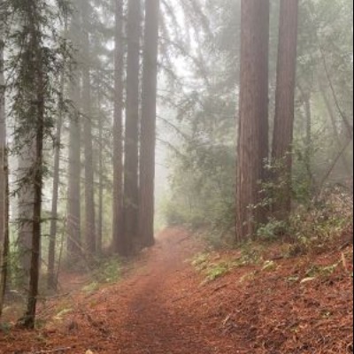 2026 Call of the Wild Half Marathon & 5 Mile Logo