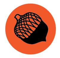 Black Hawk Ridge Trail Run Logo
