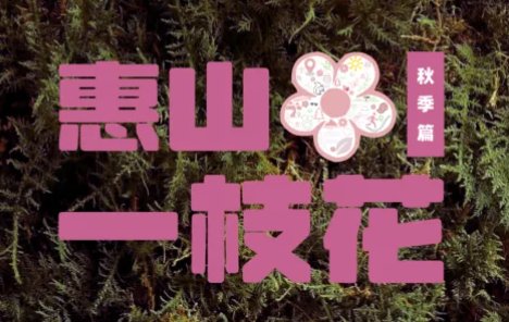 GO Wild Community Race 2026 - Huishan's Lone Blossom (2026 GO野社区赛·惠山一枝花) Logo