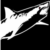 2026 Golden Gate Sharkfest Swim Logo