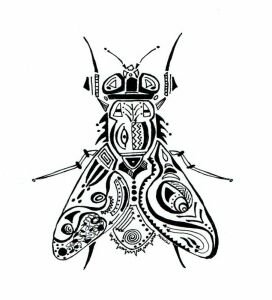 2026 WCA Black Fly Blitz 5k Logo