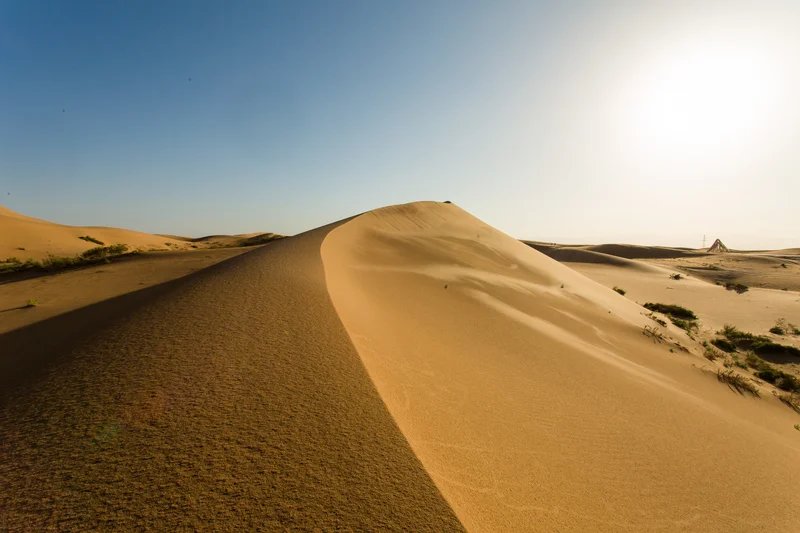 2026 Zhongwei Desert Trail Logo