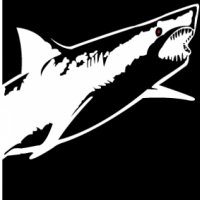 2027 Alcatraz Sharkfest Swim Logo