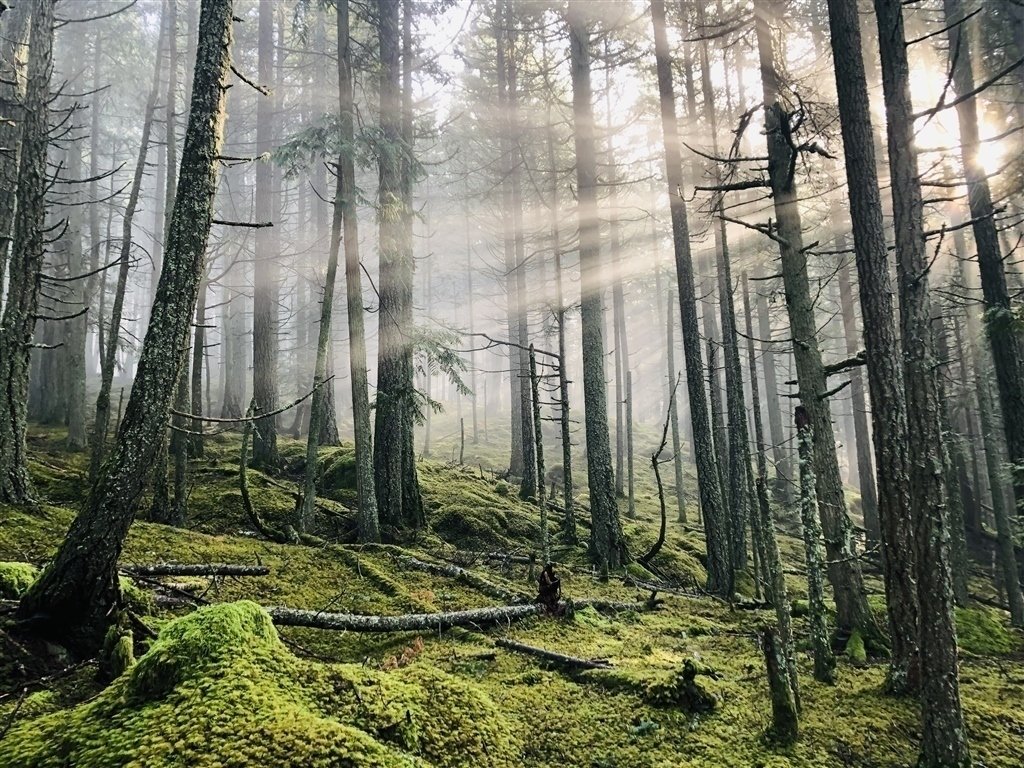 2027 Orcas Island 100 Miler