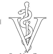 20th Annual Dawg Jog 5K Logo