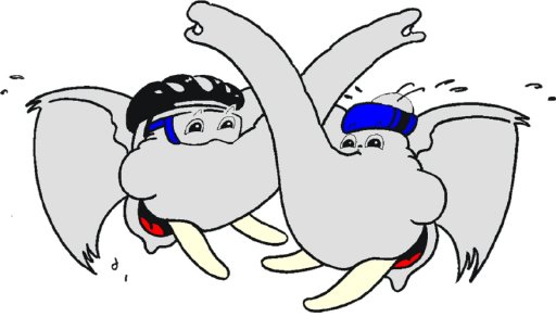 22. RüsselCross Duathlon
