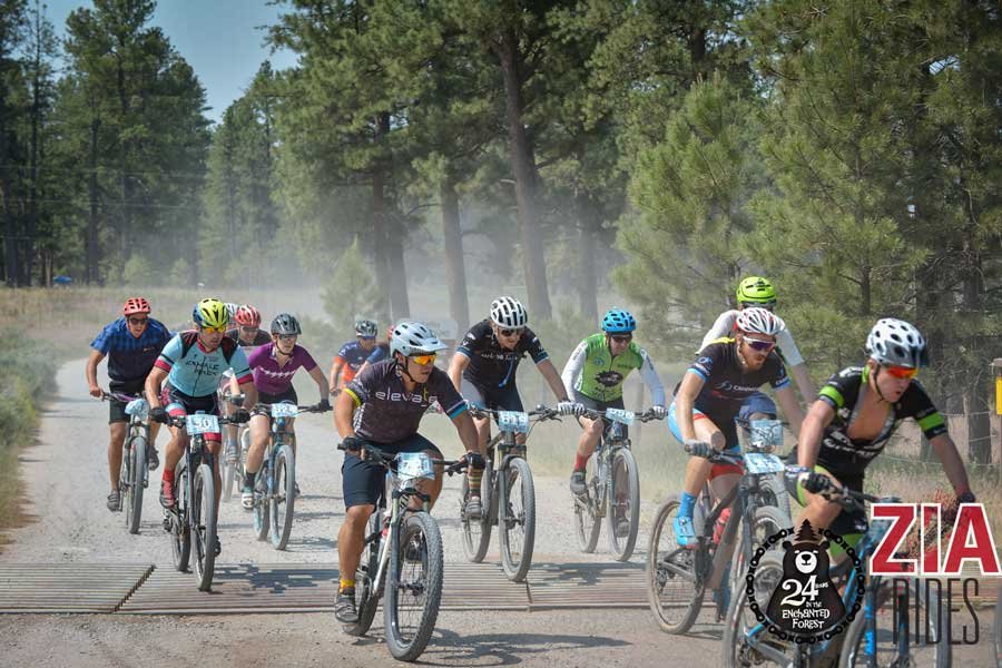 24 Hours in the Enchanted Forest Logo