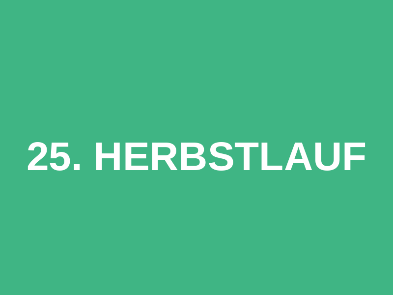 25. Herbstlauf