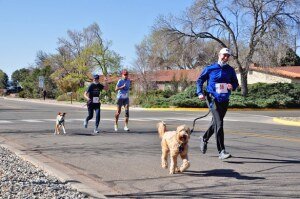 2.5K & 5K Lucky Dawg Jog / Walk for Charity Logo