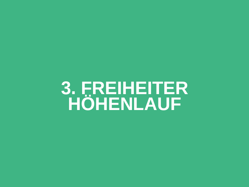 3. Freiheiter Höhenlauf Logo