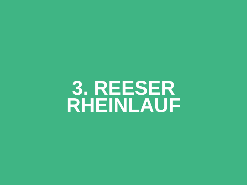 3. Reeser Rheinlauf Logo