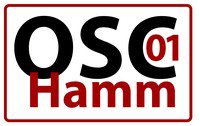 3. Sparkassen Adventslauf Hamm 2026 Logo