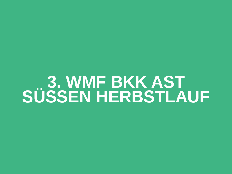 3. WMF BKK AST Süßen Herbstlauf Logo