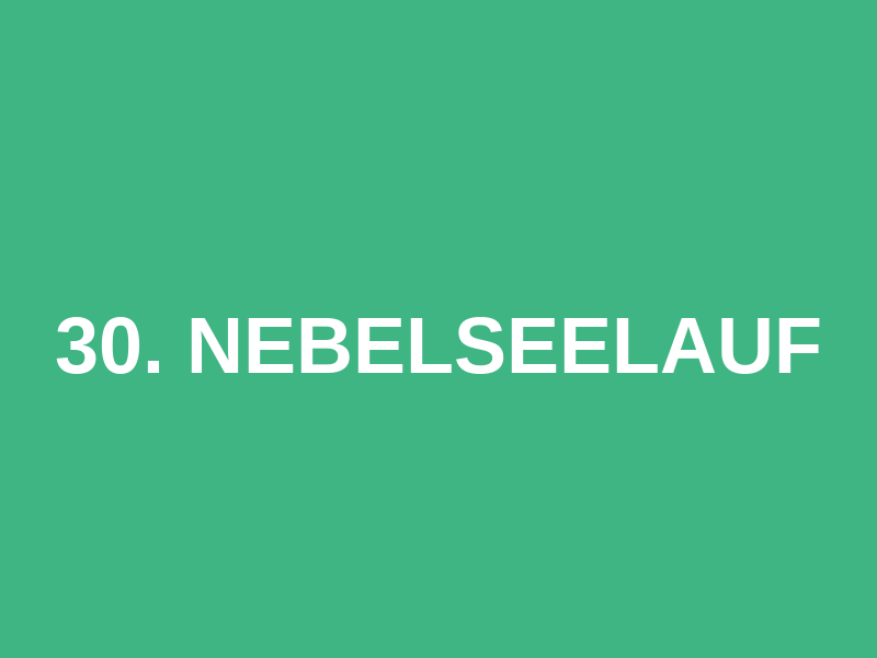 30. Nebelseelauf Logo
