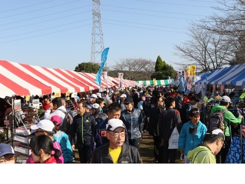 32nd Teganuma Eco Marathon (第32回大会手賀沼エコマラソン) Logo