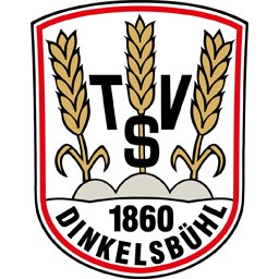 34. Dinkelsbühler Staffellauf