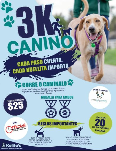 3k Canino Logo