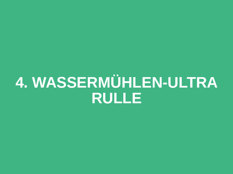 4. Wassermühlen-Ultra Rulle Logo