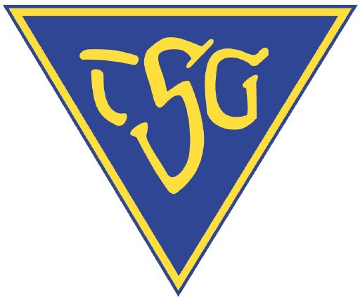 40. Nikolauslauf der TSG Dülmen
