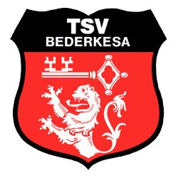 41. Volkslauf „Rund um den Beerster See” Logo