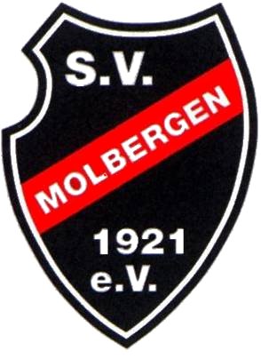 47. Silvesterlauf Rund um die Thülsfelder Talsperre Logo