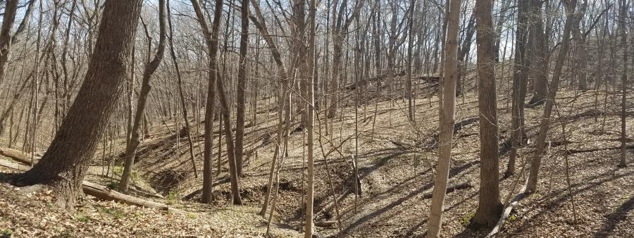 4sta Hike